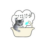 こねこ☆すたんぷ 8（個別スタンプ：19）