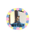 ぶうのすたんぷ（個別スタンプ：24）