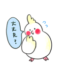 オカメインコ ピッピ（個別スタンプ：6）