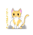 ミックス猫（個別スタンプ：2）