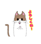 ミックス猫（個別スタンプ：8）