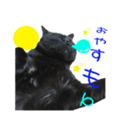 黒猫連合（個別スタンプ：10）