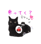 猫にゃ・にゃ・にゃ！part8（個別スタンプ：24）