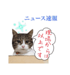 猫にゃ・にゃ・にゃ！part8（個別スタンプ：32）