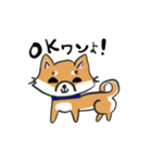 柴犬リリーちゃん（個別スタンプ：1）