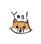 柴犬リリーちゃん（個別スタンプ：6）