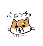 柴犬リリーちゃん（個別スタンプ：7）