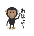 キモかわチンパンジー（個別スタンプ：1）