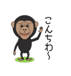 キモかわチンパンジー（個別スタンプ：2）