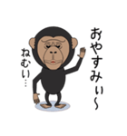 キモかわチンパンジー（個別スタンプ：5）