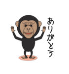キモかわチンパンジー（個別スタンプ：8）