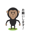 キモかわチンパンジー（個別スタンプ：11）