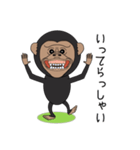 キモかわチンパンジー（個別スタンプ：13）