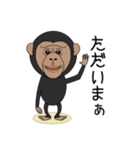 キモかわチンパンジー（個別スタンプ：14）