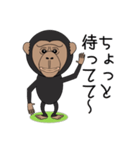 キモかわチンパンジー（個別スタンプ：20）