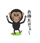 キモかわチンパンジー（個別スタンプ：21）