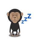 キモかわチンパンジー（個別スタンプ：24）