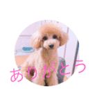 cocoa..love（個別スタンプ：1）