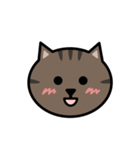 かわいいキジトラ猫の顔（個別スタンプ：3）