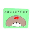 シーズー 女の子（個別スタンプ：1）