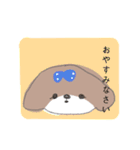 シーズー 女の子（個別スタンプ：4）