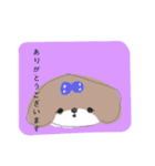 シーズー 女の子（個別スタンプ：5）