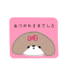 シーズー 女の子（個別スタンプ：8）