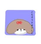 シーズー 女の子（個別スタンプ：11）