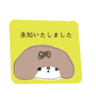 シーズー 女の子（個別スタンプ：12）