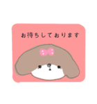 シーズー 女の子（個別スタンプ：14）