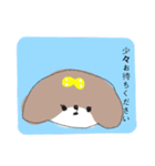 シーズー 女の子（個別スタンプ：15）