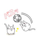 猫ぽんサッカー（個別スタンプ：17）