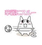 猫ぽんサッカー（個別スタンプ：20）