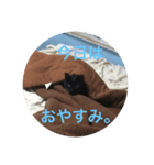 ほのぼの猫シリーズ（個別スタンプ：8）