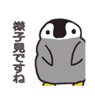 ペンギンのコーちゃん（個別スタンプ：6）