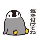 ペンギンのコーちゃん（個別スタンプ：19）