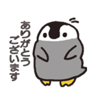 ペンギンのコーちゃん（個別スタンプ：23）