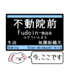 広島モノレール 今この駅だよ！タレミー（個別スタンプ：7）