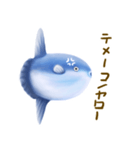 う〜マンボウ！（個別スタンプ：37）