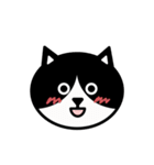 かわいい黒白猫の顔1（個別スタンプ：3）