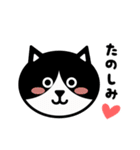 かわいい黒白猫の顔1（個別スタンプ：5）