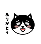 かわいい黒白猫の顔1（個別スタンプ：12）