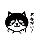 かわいい黒白猫の顔1（個別スタンプ：27）