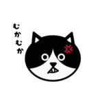 かわいい黒白猫の顔1（個別スタンプ：30）