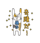 ばんざい猫 藤本用（個別スタンプ：30）