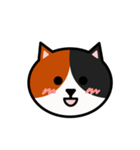 かわいい三毛猫の顔（個別スタンプ：3）
