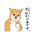 うきうき！しば犬日常会話（個別スタンプ：9）