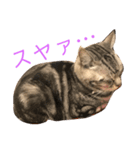 不機嫌なねこ。（個別スタンプ：2）