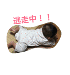 すみれとある（個別スタンプ：7）