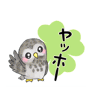 【大文字】フクロウ基本（個別スタンプ：1）